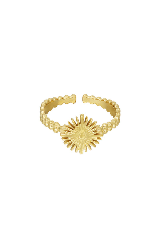 Zonne ring